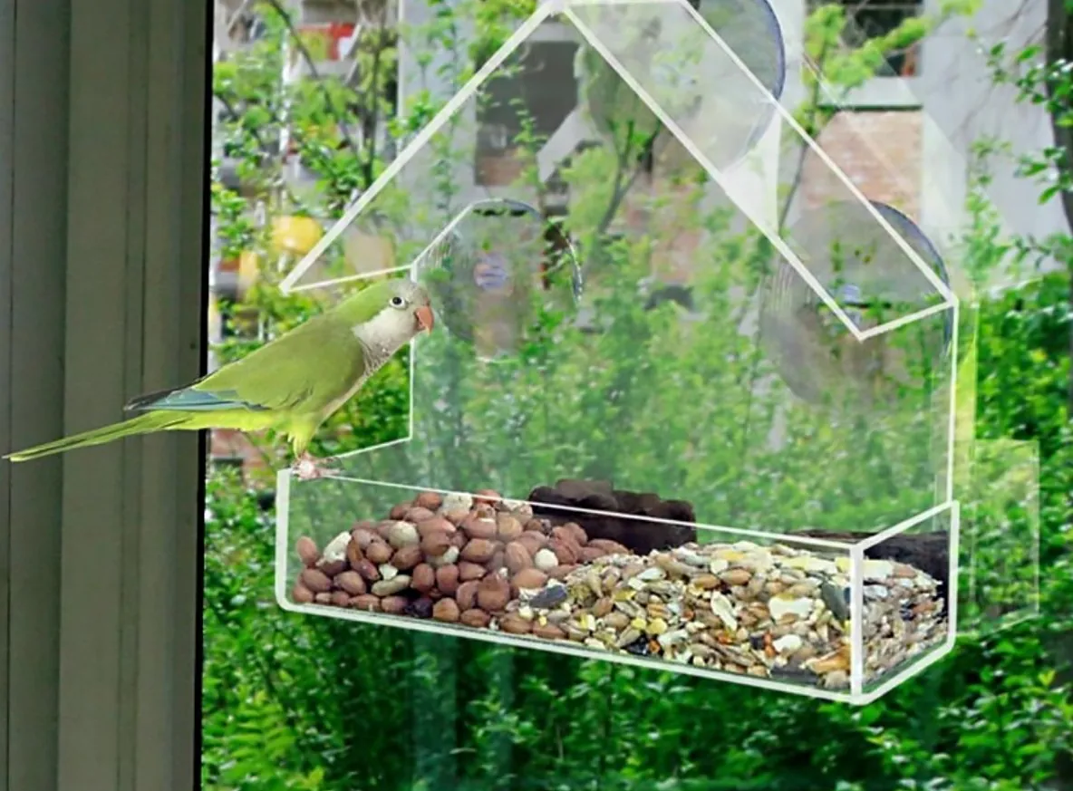 Classic Window Feeder fixed to a window with a green parakeet feeding at the tray