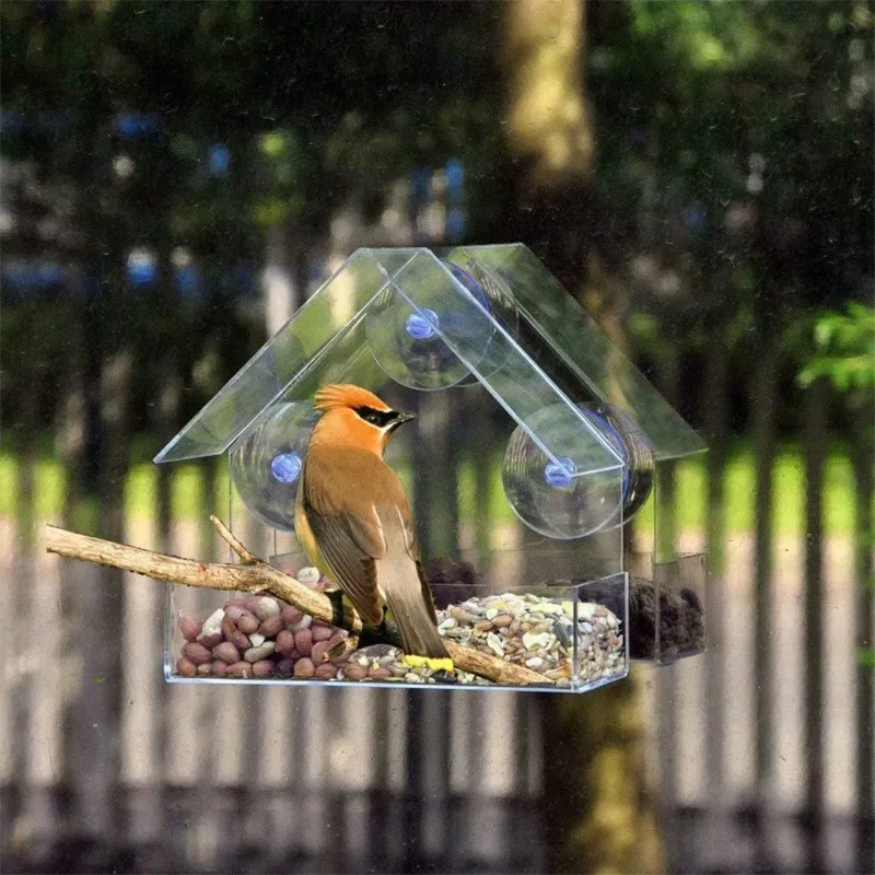 Classic Window Feeder on a window with a bird feeding inside