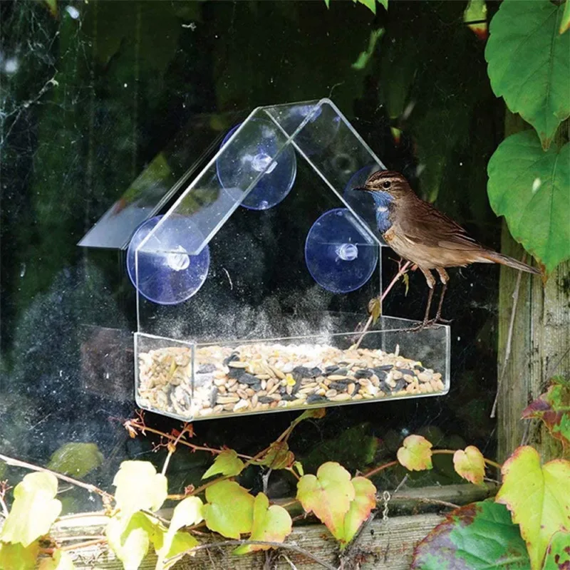 Classic Window Feeder fixed to glass, bird at the tray