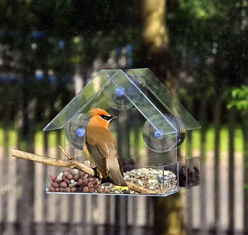 Clear acrylic Classic Window Feeder with a cedar waxwing perched inside the tray