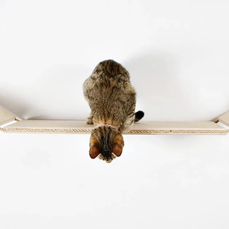 Cat walking along the Cat Wall Bridge, seen from above