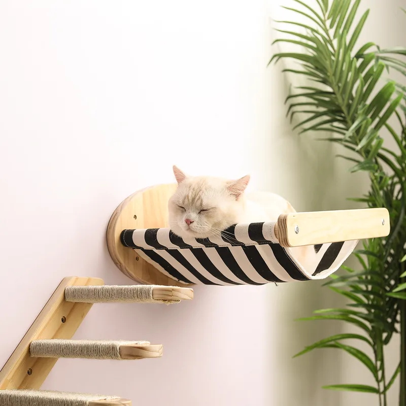Cat asleep in a wall hammock above a set of wooden cat wall steps