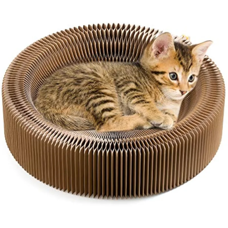 Two kittens curled up in a round cardboard scratcher lounge