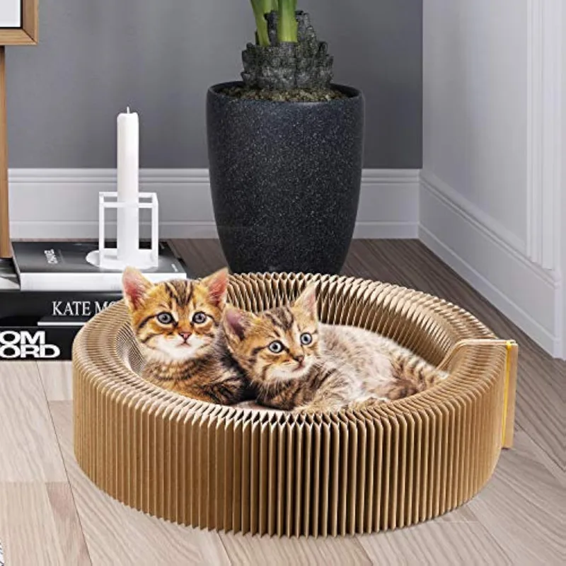 Kitten lying in a round cardboard scratcher lounge