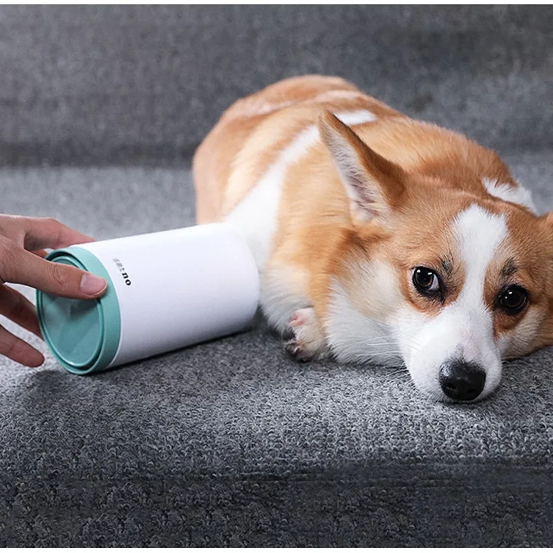 Corgi having a paw cleaned in the paw cleaner cup