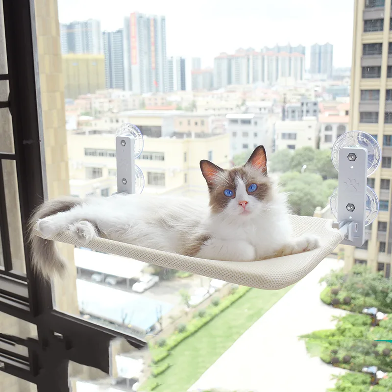 Cat Window Perch with beige mesh bed fixed to a window, a cat lying on it