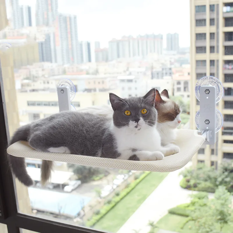 Cat lying on the beige Cat Window Perch with suction-cup brackets on the glass