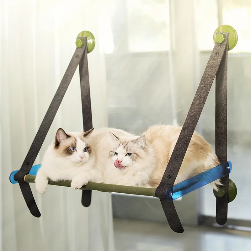 Two cats sharing a suction-cup window sling hammock