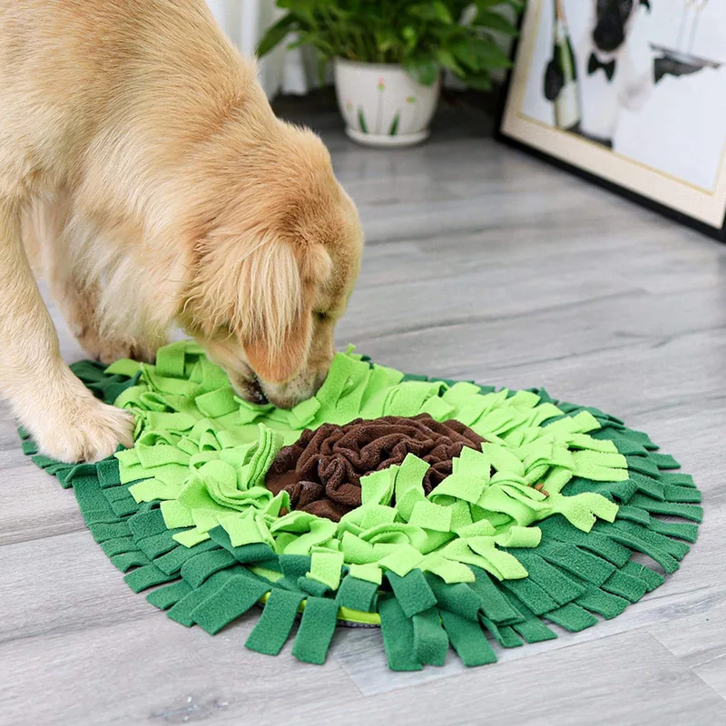Golden retriever sniffing for treats in a green snuffle mat