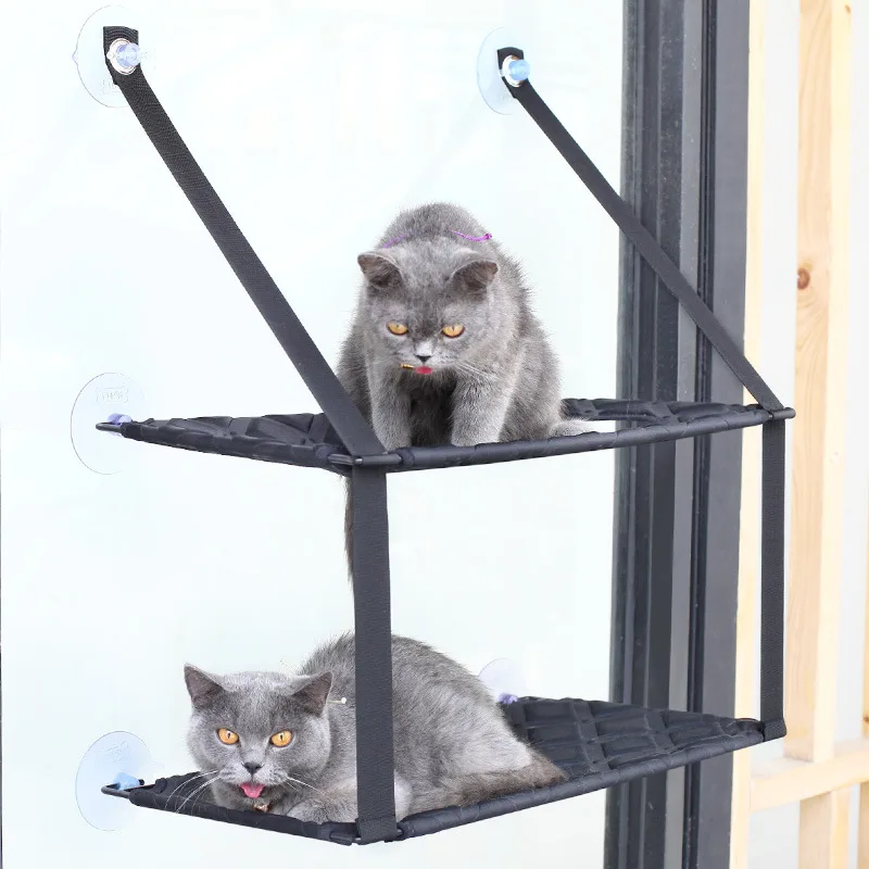 Two grey cats on the Two-Tier Cat Window Perch