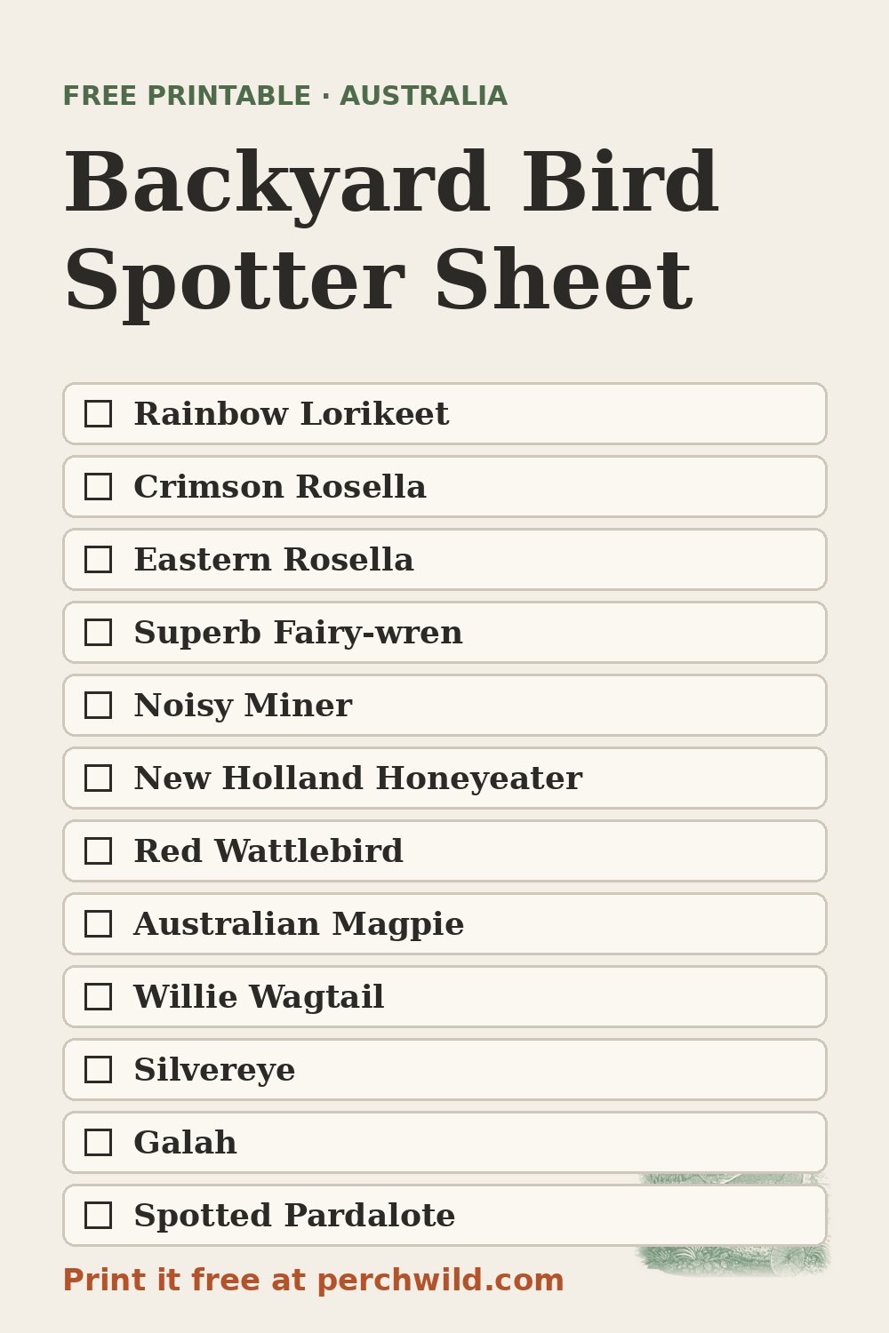 Backyard Bird Spotter Sheet, Australian edition: twelve birds to tick off, from Rainbow Lorikeet to Spotted Pardalote
